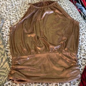 WHBM -Size large Blouse brownish Gold Shimmer